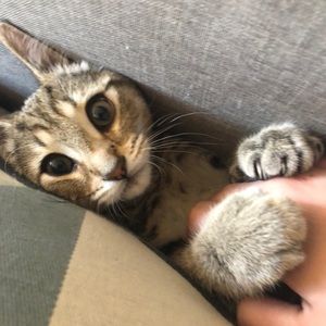 Meet your Posher, Maddie